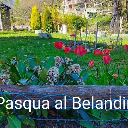 Belandin Ristorante Hotel Teglio Exterior foto
