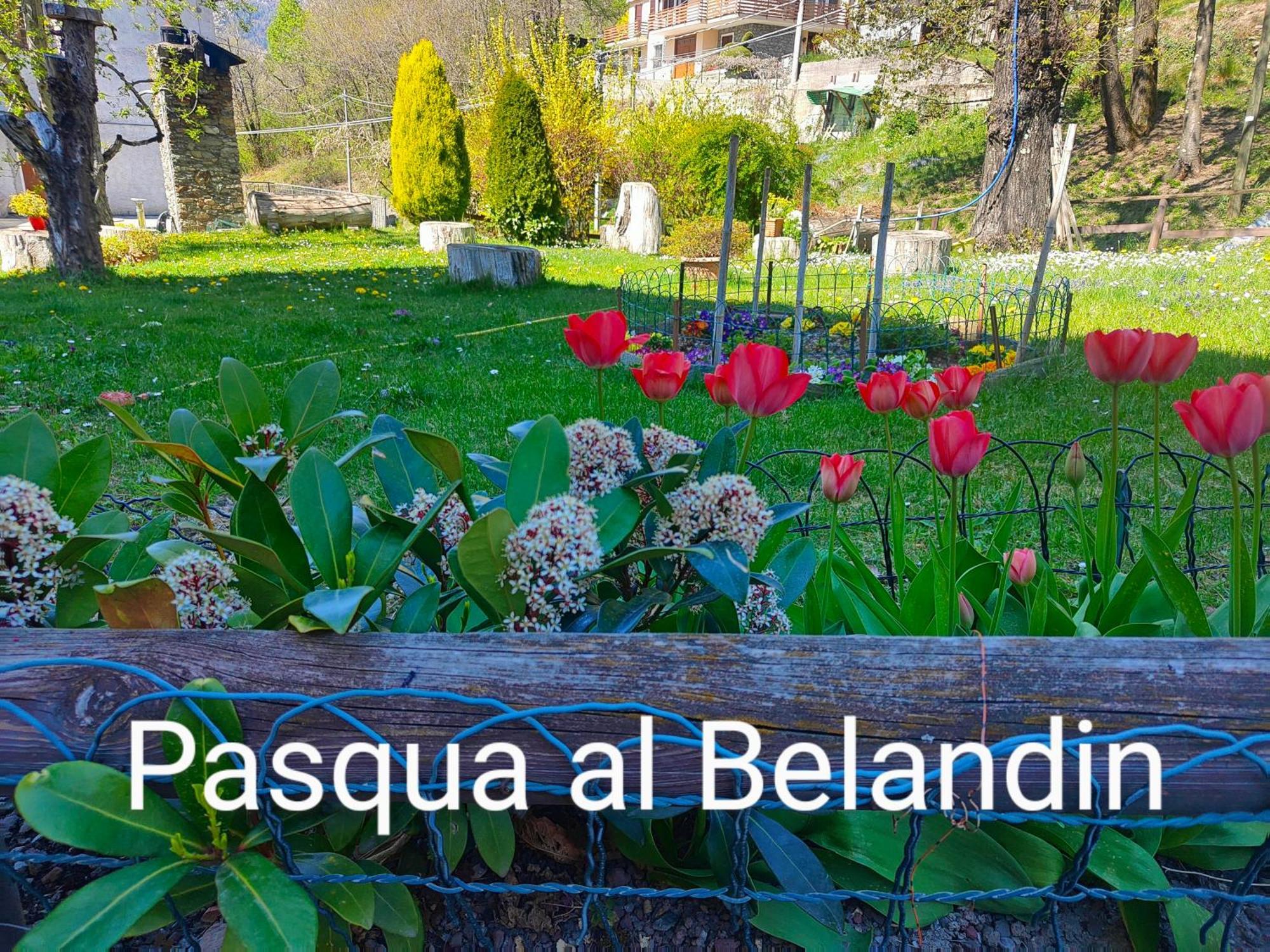 Belandin Ristorante Hotel Teglio Exterior foto